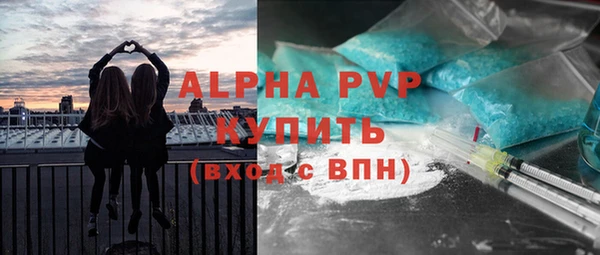 мяу мяу мука Лабытнанги